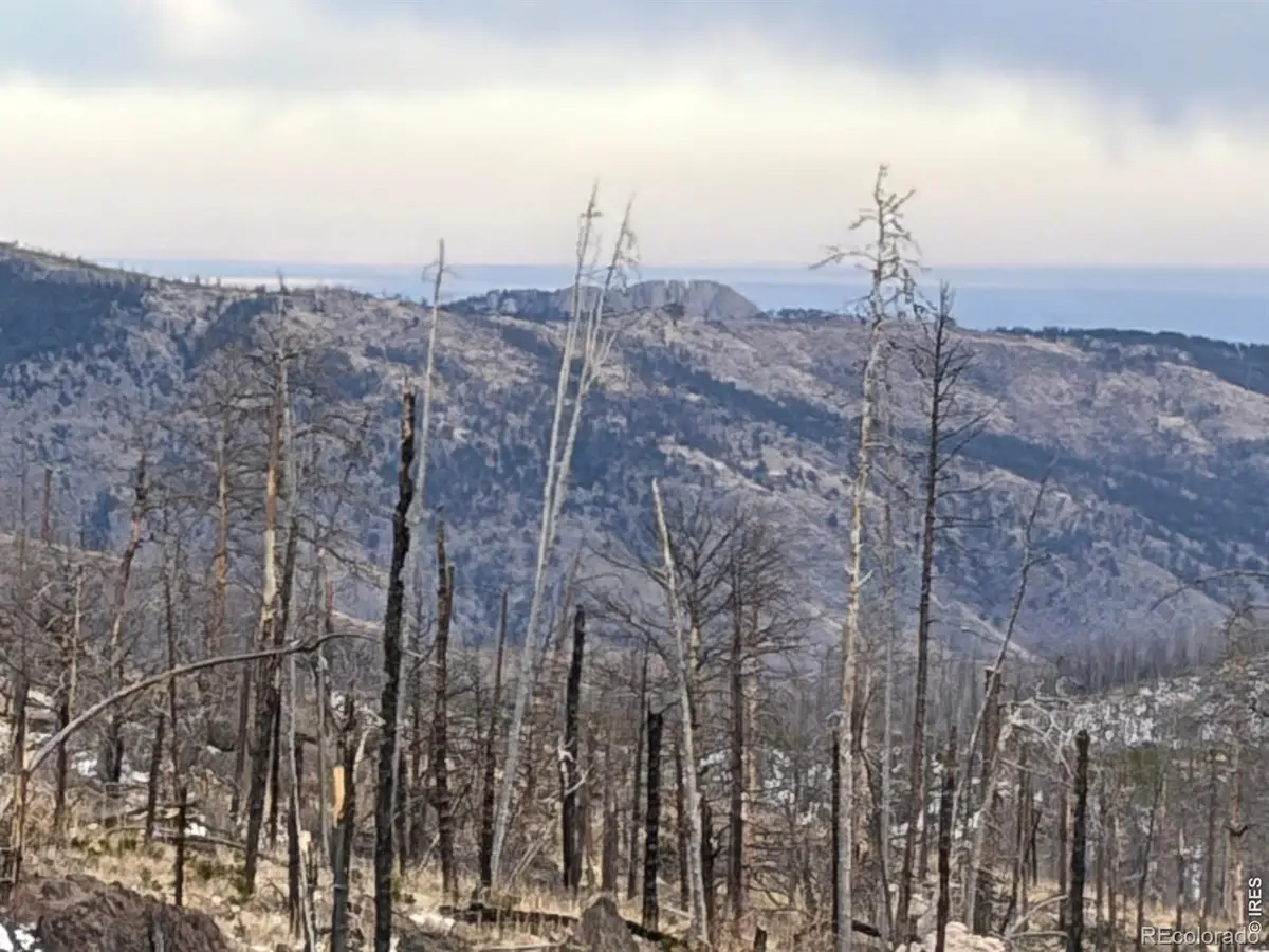 2025 Granite Road, Bellvue, CO 80512 - #1