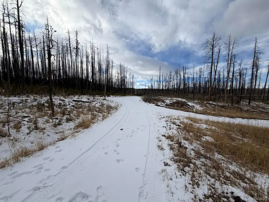 2025 Granite Road, Bellvue, CO 80512 - #2