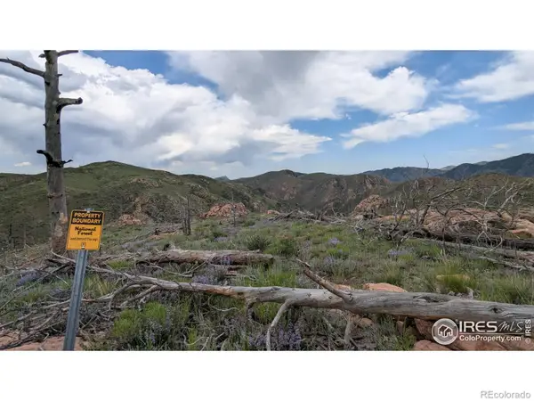 1360 Meadow Mountain Drive, Livermore, CO 80536