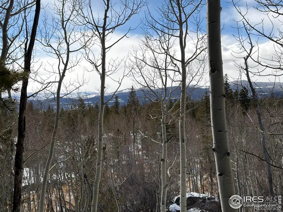 115 Wenro Court, Red Feather Lakes, CO 80545 - #3