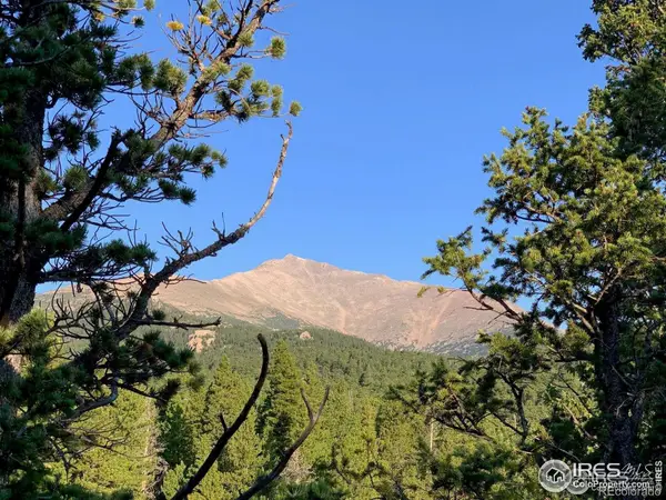 12190 Highway 7, Allenspark, CO 80510