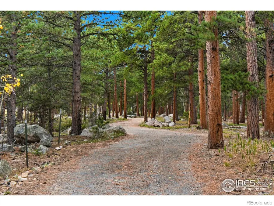 0 County Road 84 W, Allenspark, CO 80510 - #2