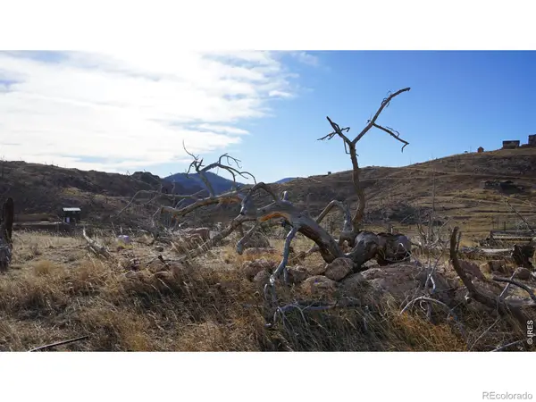 654 Horse Mountain Drive, Livermore, CO 80536