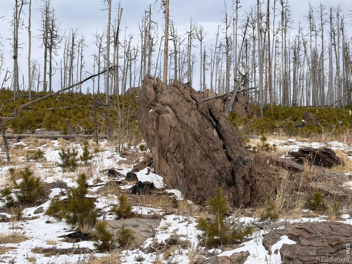 28 Agate Court, Bellvue, CO 80512 - #1