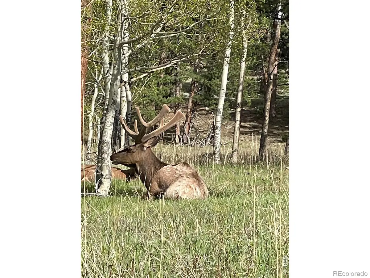 1565 Highway 66 #31, Estes Park, CO 80517 - #1