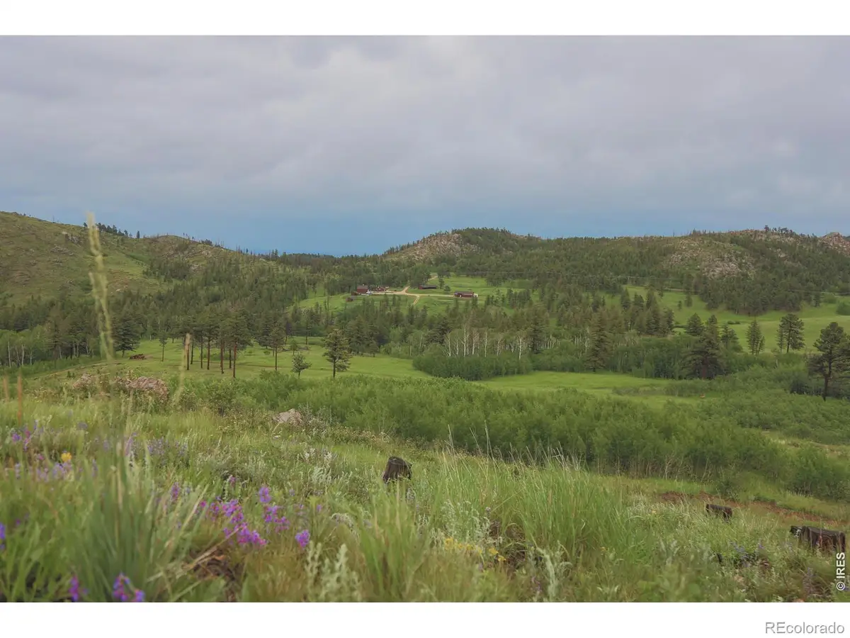 14884 Rist Canyon Road, Bellvue, CO 80512 - #1