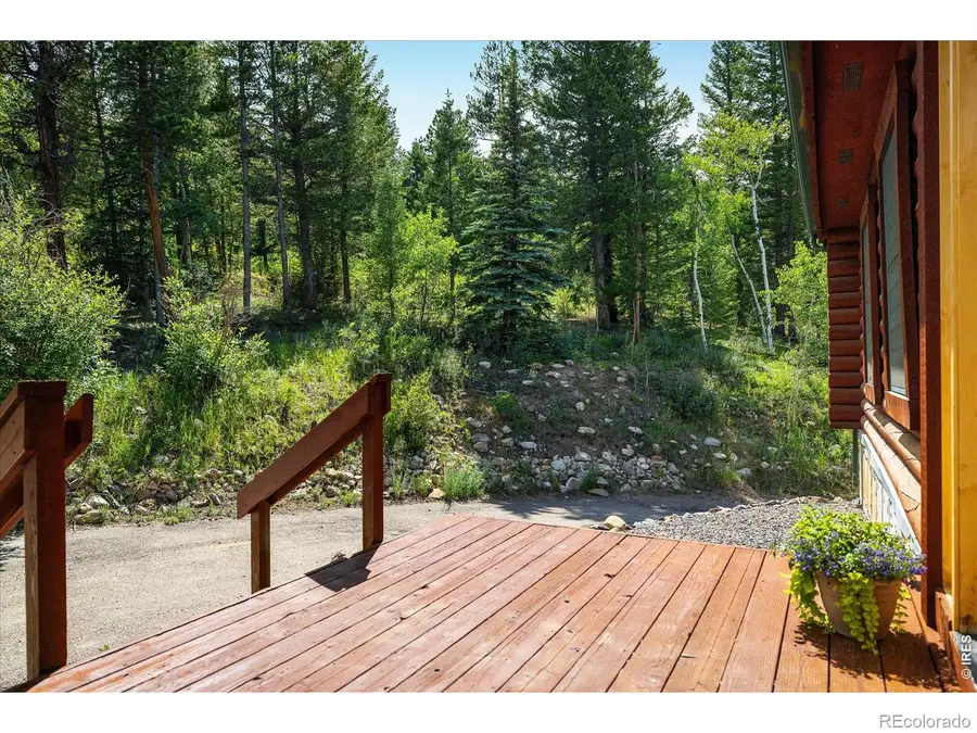 280 Hummer Drive, Nederland, CO 80466 - #3