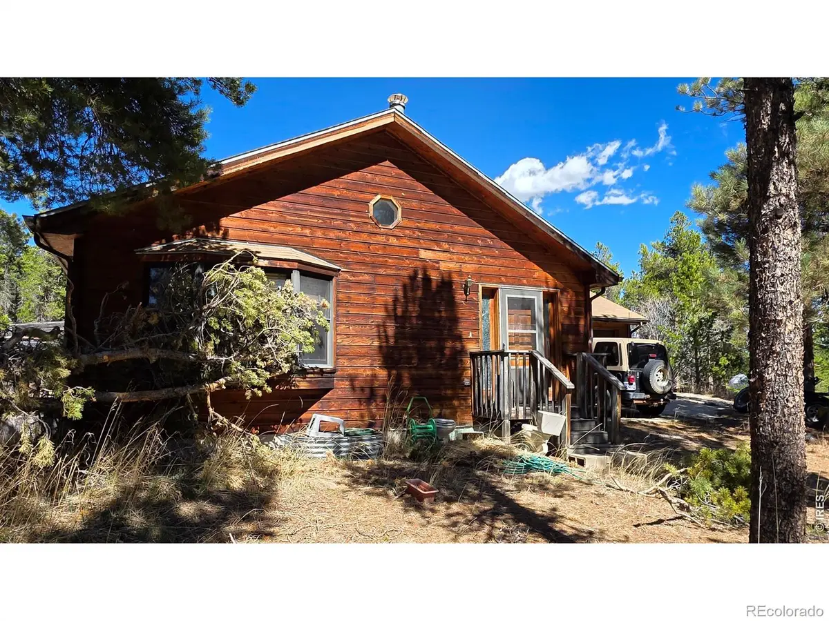 226 Pinon Way, Nederland, CO 80466 - #1