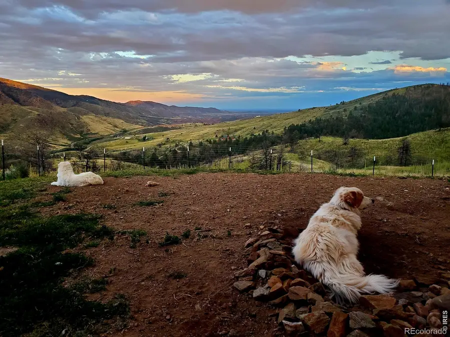 957 Stringtown Gulch Road, Bellvue, CO 80512 - #3