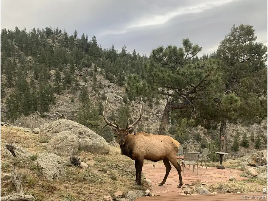 1006 Kneale Road, Eldorado Springs, CO 80025 - #2