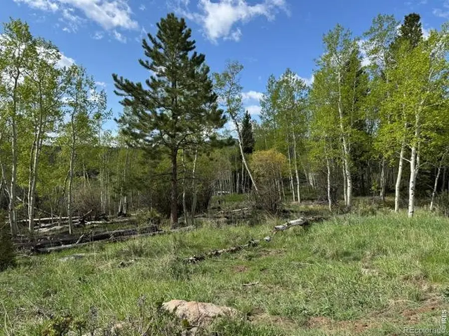 137 Cimarron Road, Red Feather Lakes, CO 80545 - #3