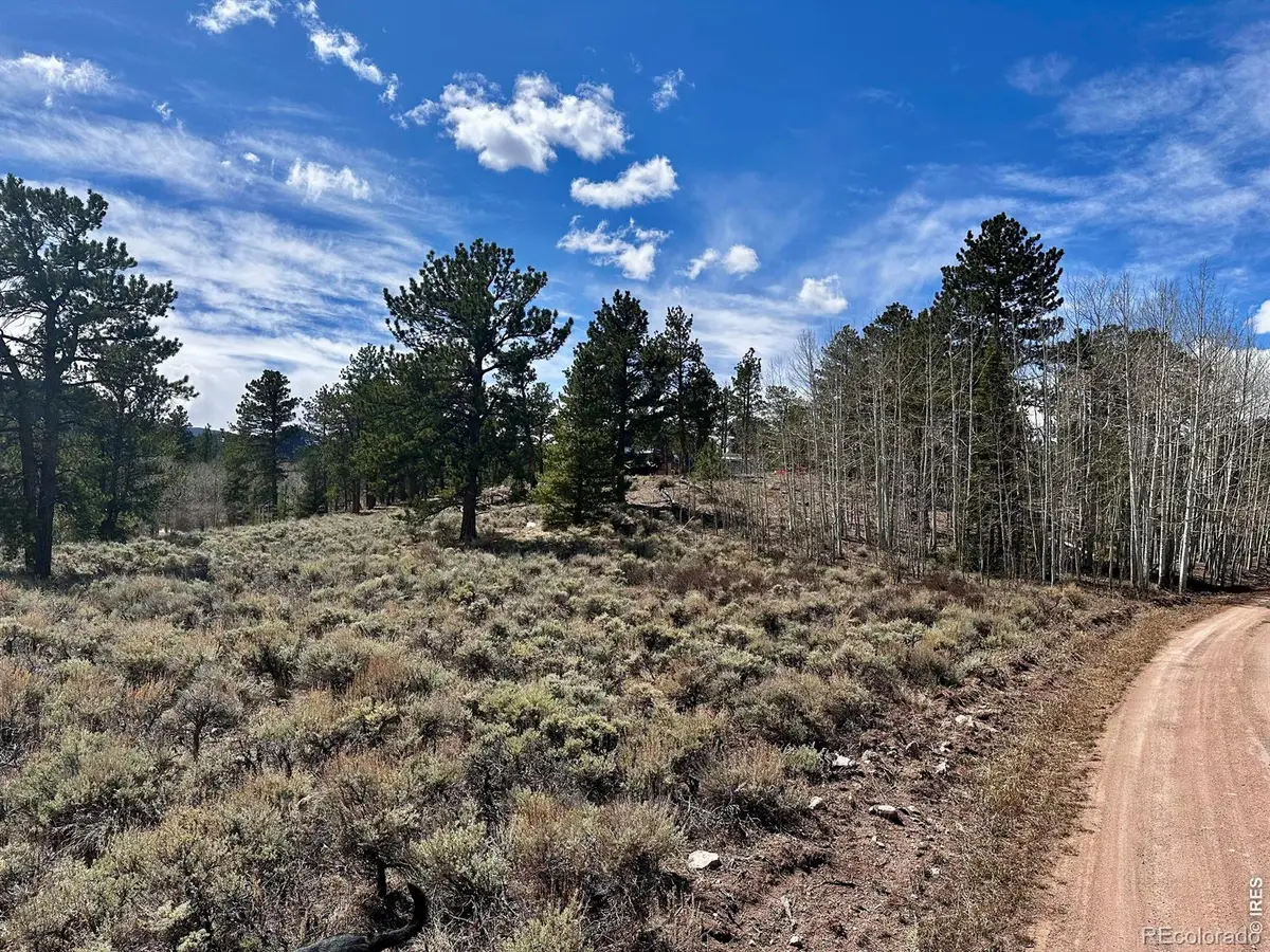 43 Chetco Court, Red Feather Lakes, CO 80545 - #1