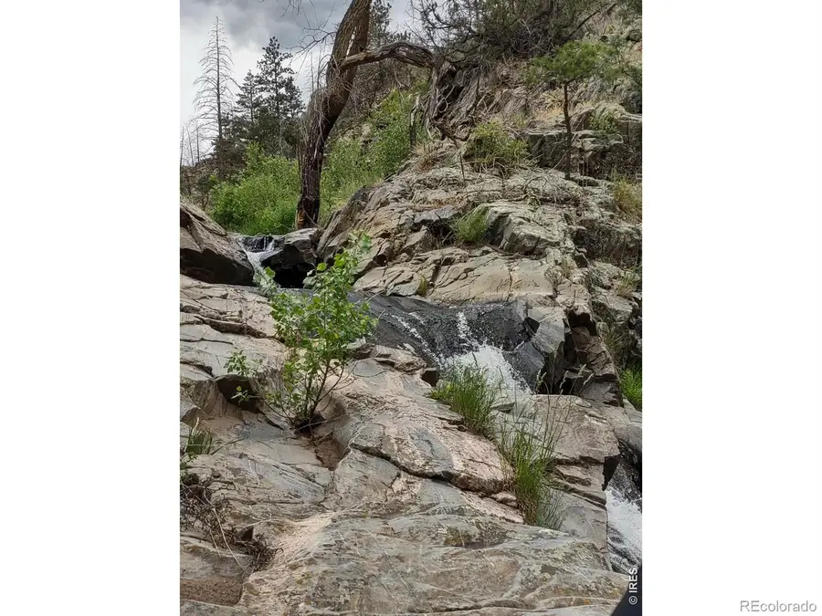 439 Redtail Ridge Way, Bellvue, CO 80512 - #2