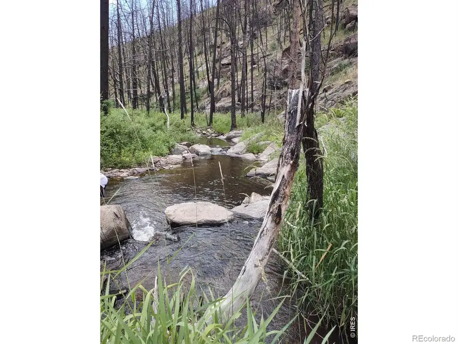 439 Redtail Ridge Way, Bellvue, CO 80512 - #3