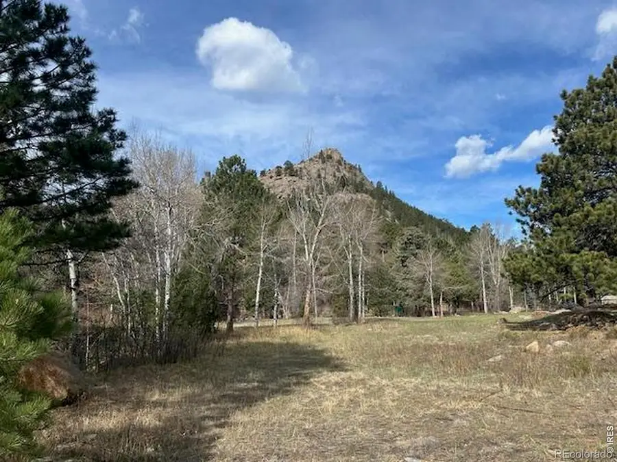 Old Ranger Drive, Estes Park, CO 80517 - #2