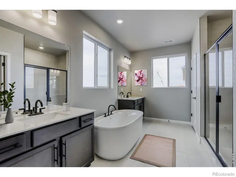 662 Noola Street, Windsor, CO 80550 - #3