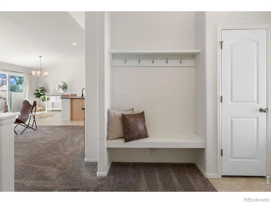 1113 Tur Street, Severance, CO 80550 - #3