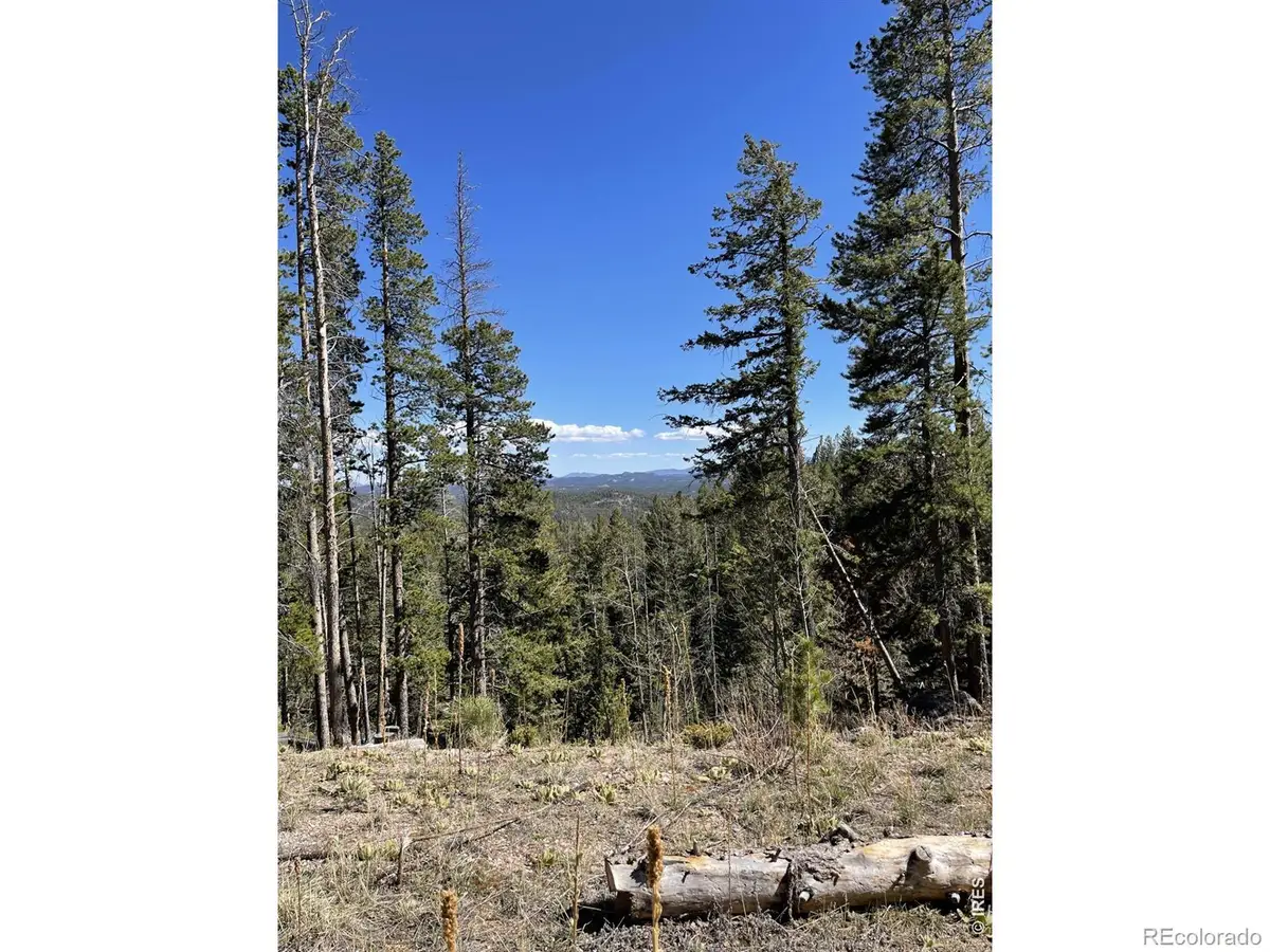 66 Piegan Court, Red Feather Lakes, CO 80545 - #1