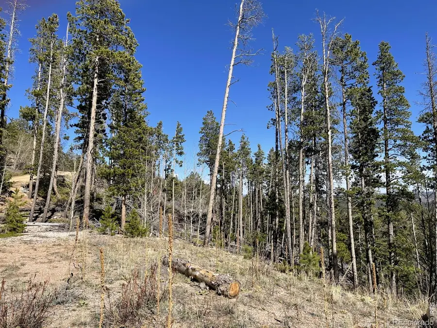 66 Piegan Court, Red Feather Lakes, CO 80545 - #3