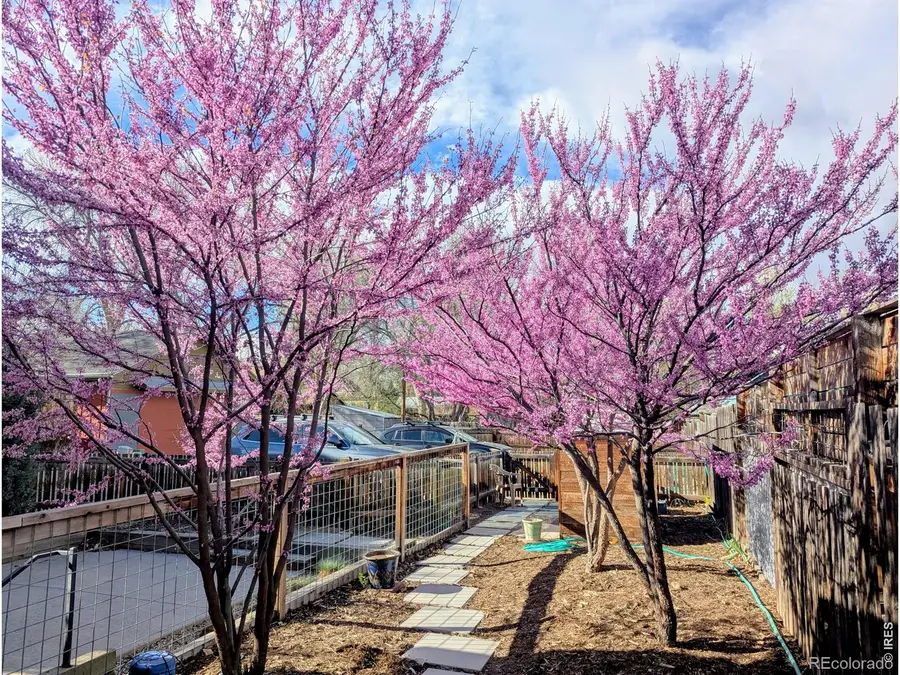 716 Maple Street #A & B, Fort Collins, CO 80521 - #3