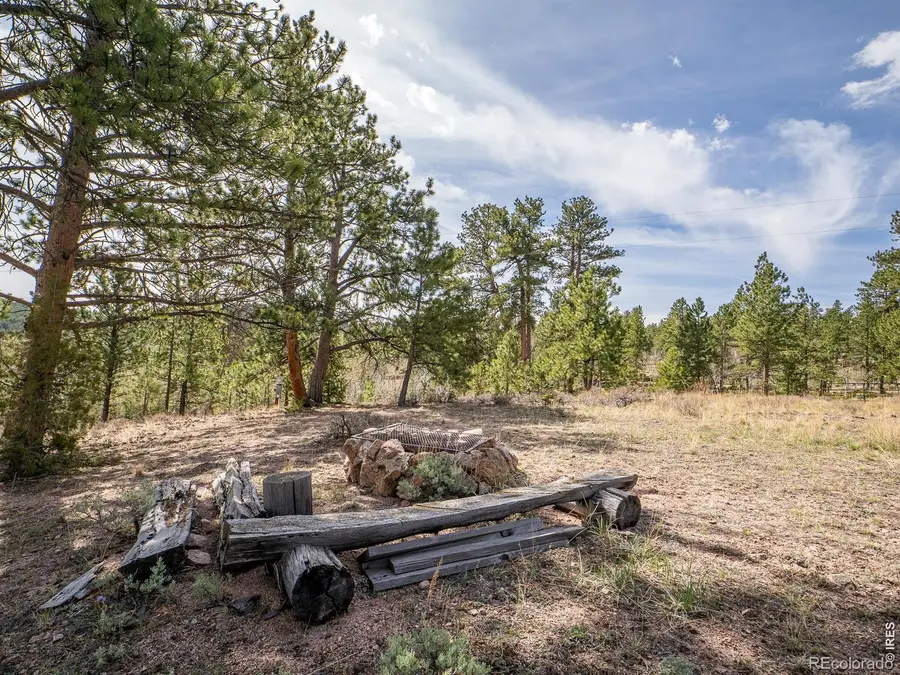 384 Ute Court, Red Feather Lakes, CO 80545 - #3