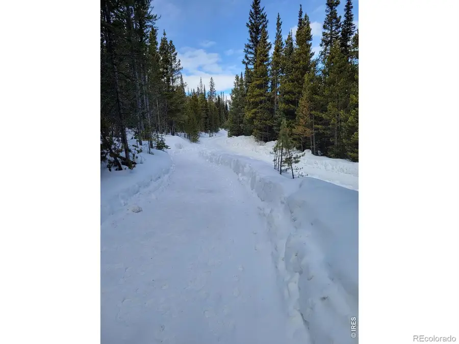 3765 Forest Road 195, Red Feather Lakes, CO 80545 - #3