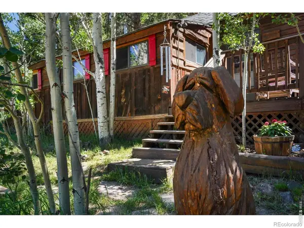 1410 Caribou Road, Nederland, CO 80466