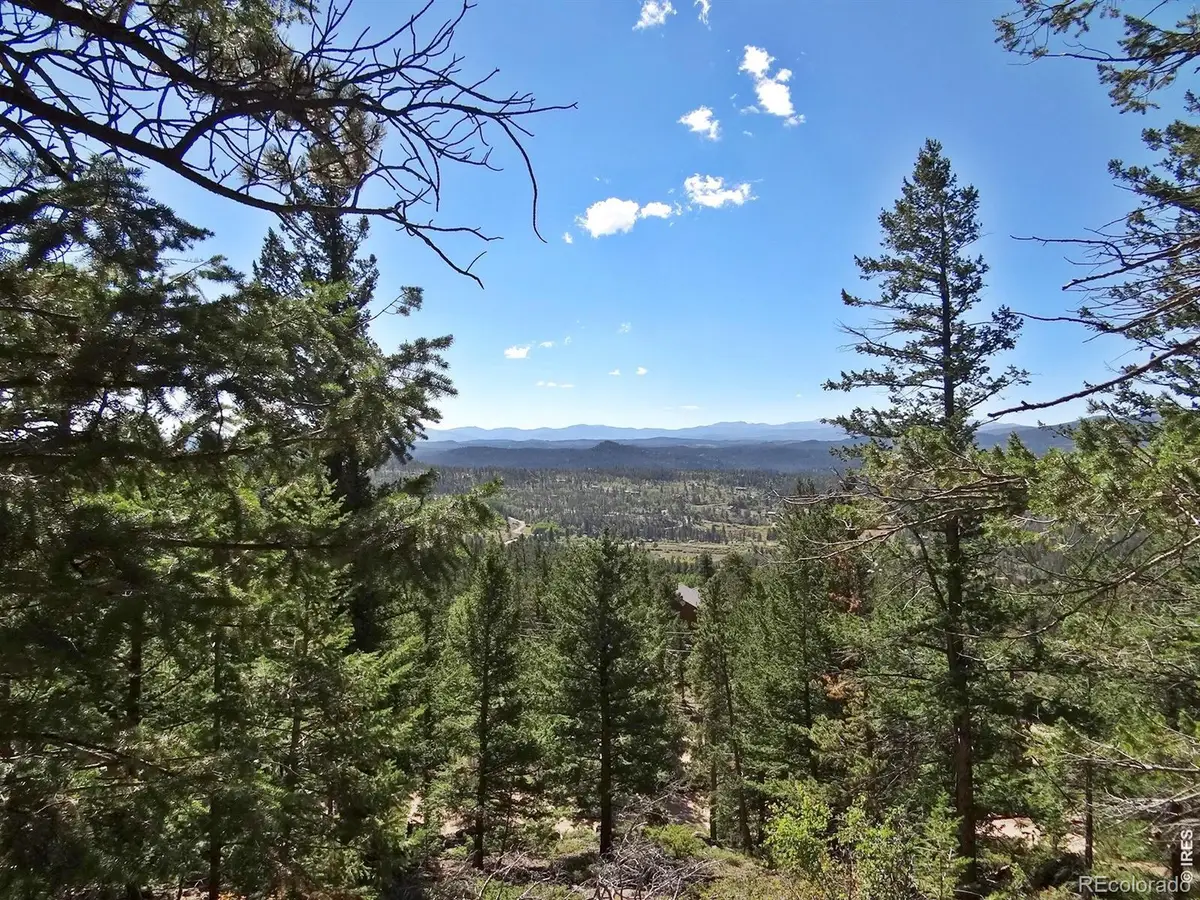 203 Mattapony Way, Red Feather Lakes, CO 80545 - #1