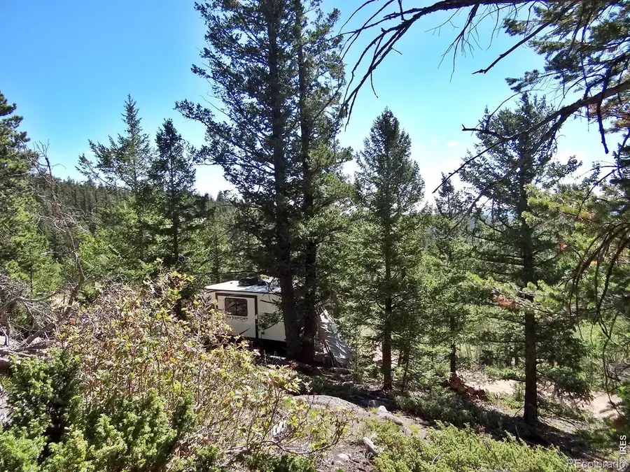 203 Mattapony Way, Red Feather Lakes, CO 80545 - #2