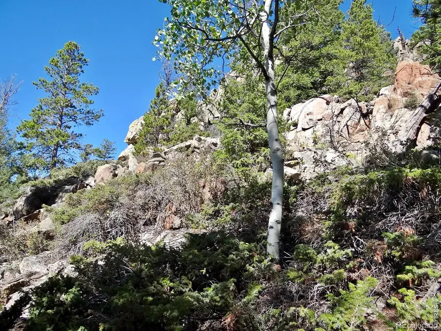 203 Mattapony Way, Red Feather Lakes, CO 80545 - #3