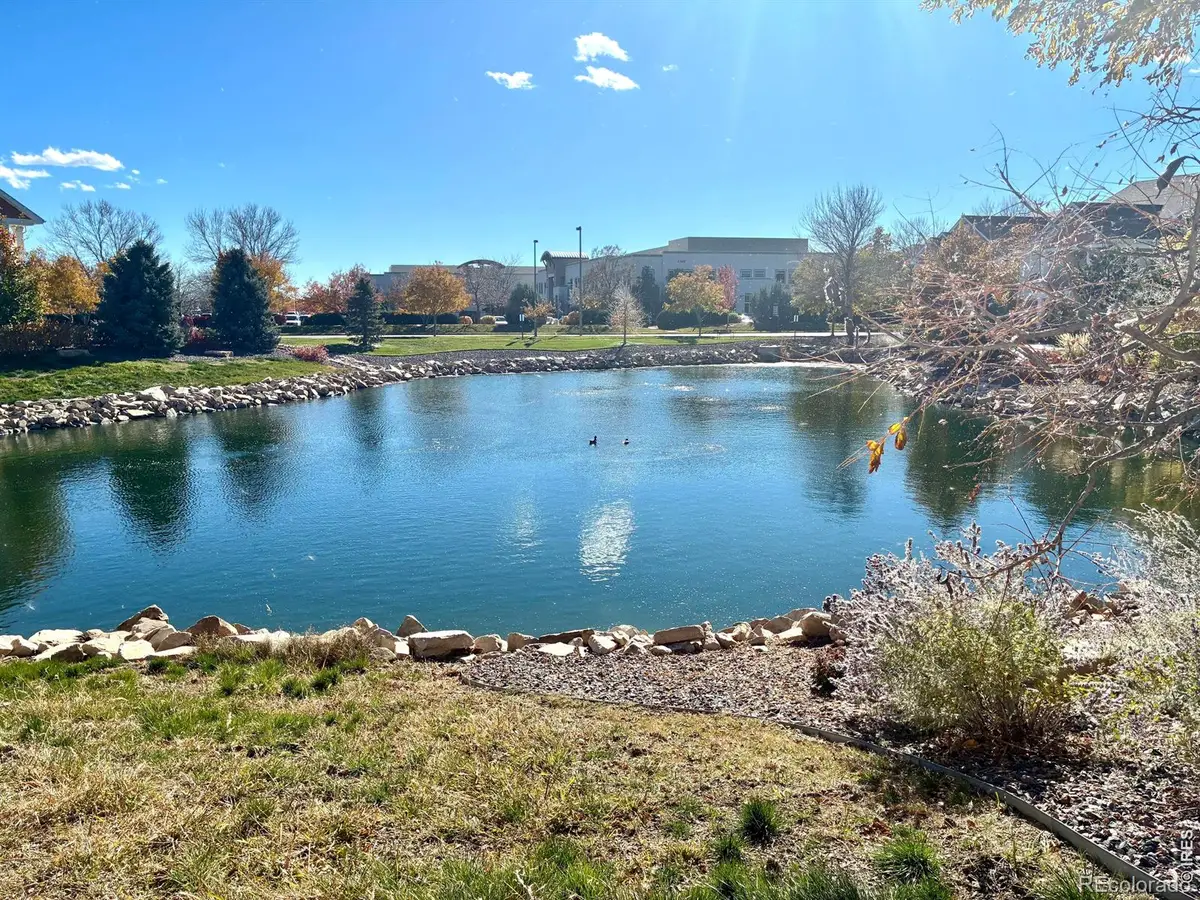 4835 Hahns Peak Drive #203, Loveland, CO 80538 - #1