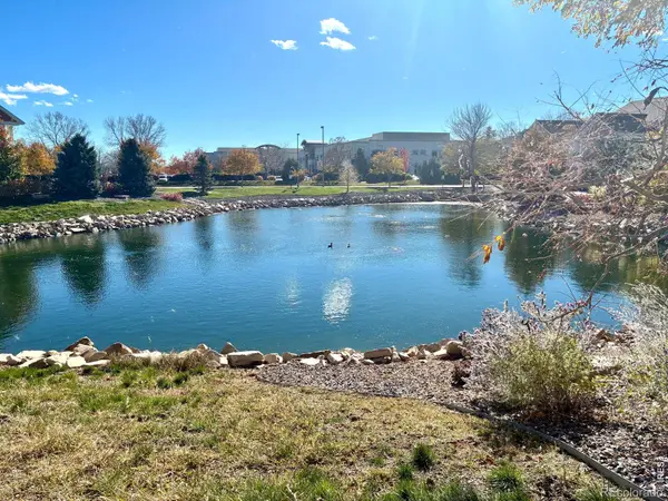 4835 Hahns Peak Drive #203, Loveland, CO 80538