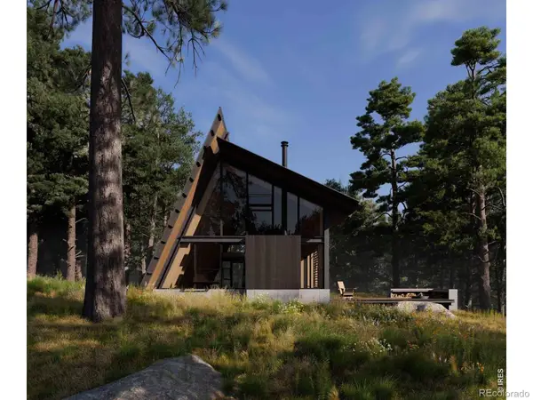 1182 Ridge Road, Nederland, CO 80466