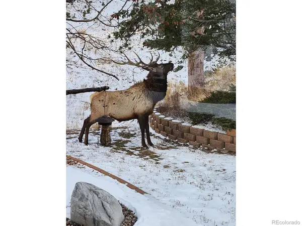 96 Lone Wolf Road, Loveland, CO 80537