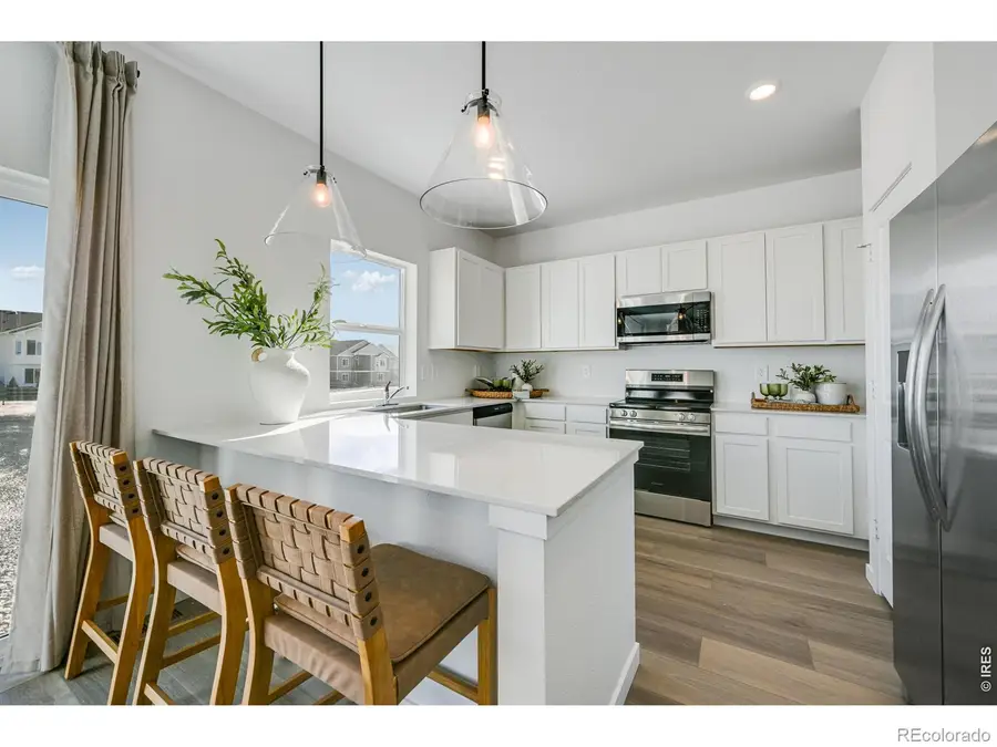 6145 Bream Place, Loveland, CO 80538 - #2