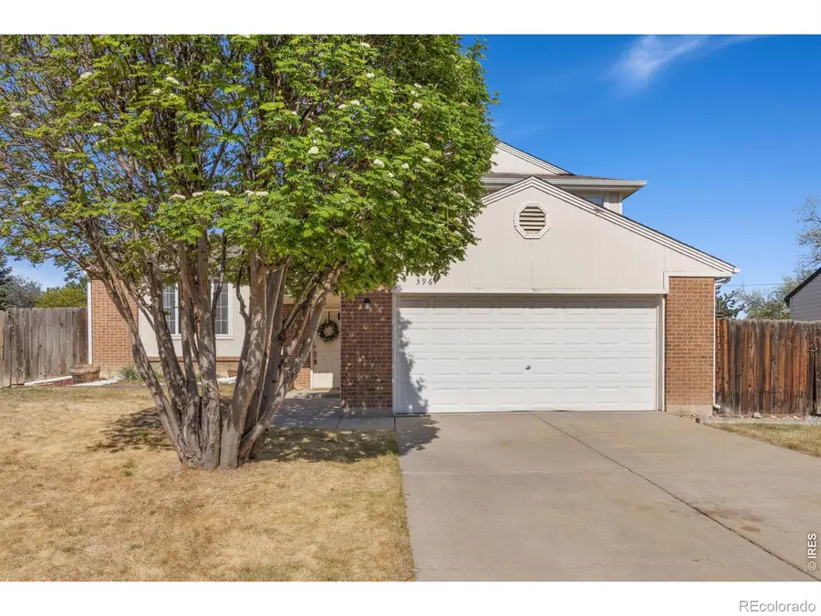 3967 Ash Avenue, Loveland, CO 80538 - #2