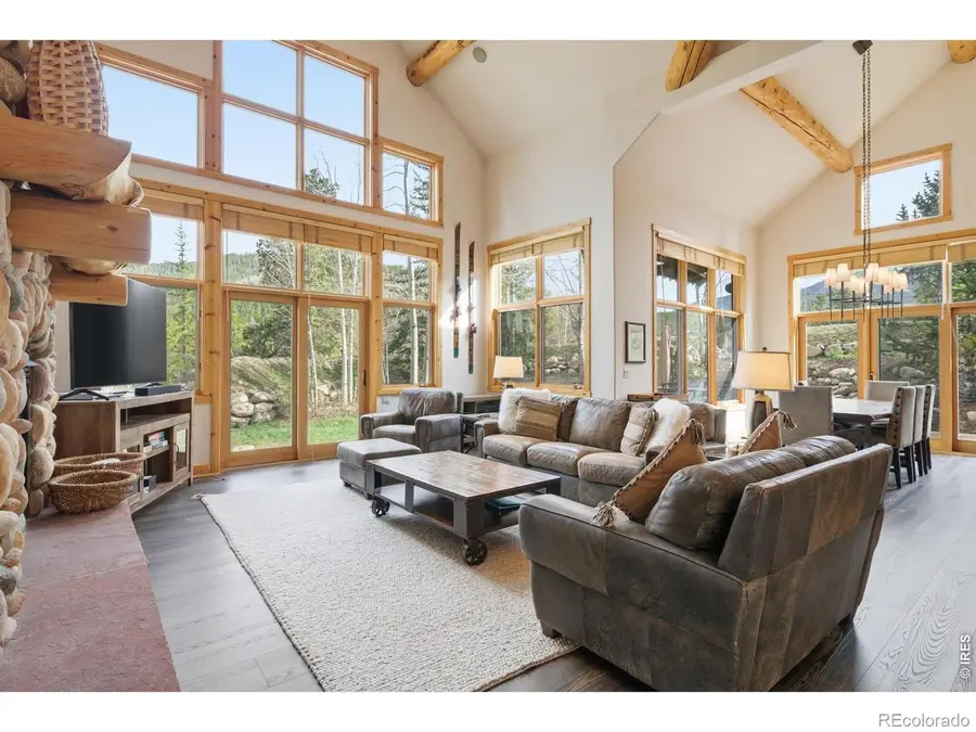 590 Water Dance Drive, Frisco, CO 80443 - #3