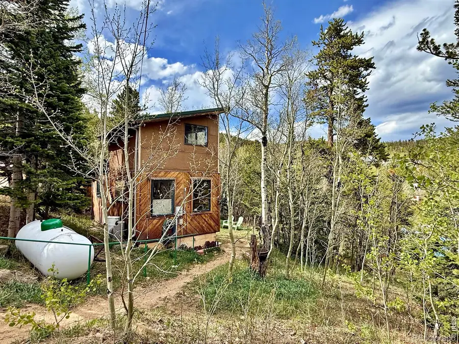 38 B And M Street, Ward, CO 80481 - #2
