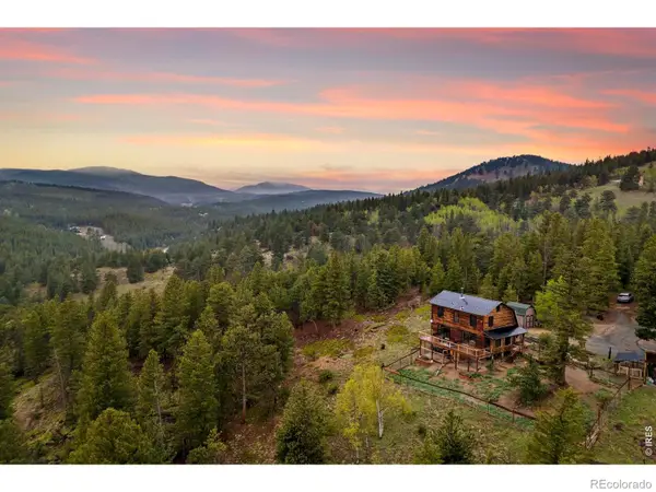 515 N Beaver Road, Nederland, CO 80466