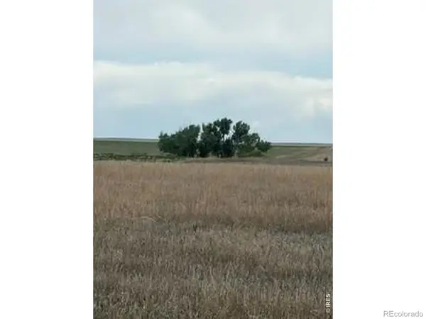 Peoria Crossing Road, Bennett, CO 80102
