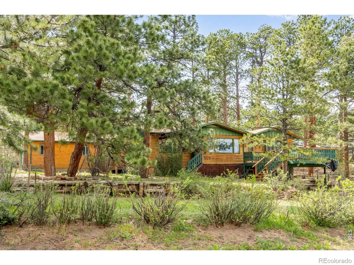 1026 Lexington Lane, Estes Park, CO 80517 - #1