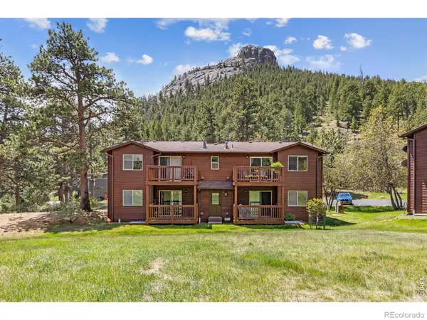 503 Fall River Lane #D, Estes Park, CO 80517