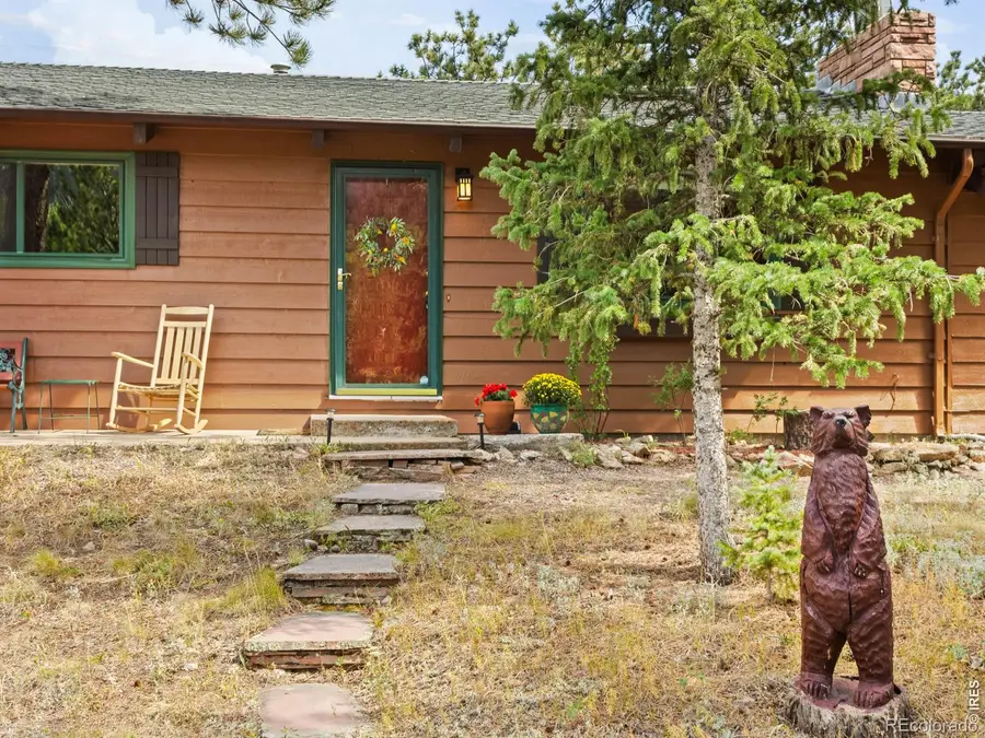 839 Ski Road, Allenspark, CO 80510 - #3
