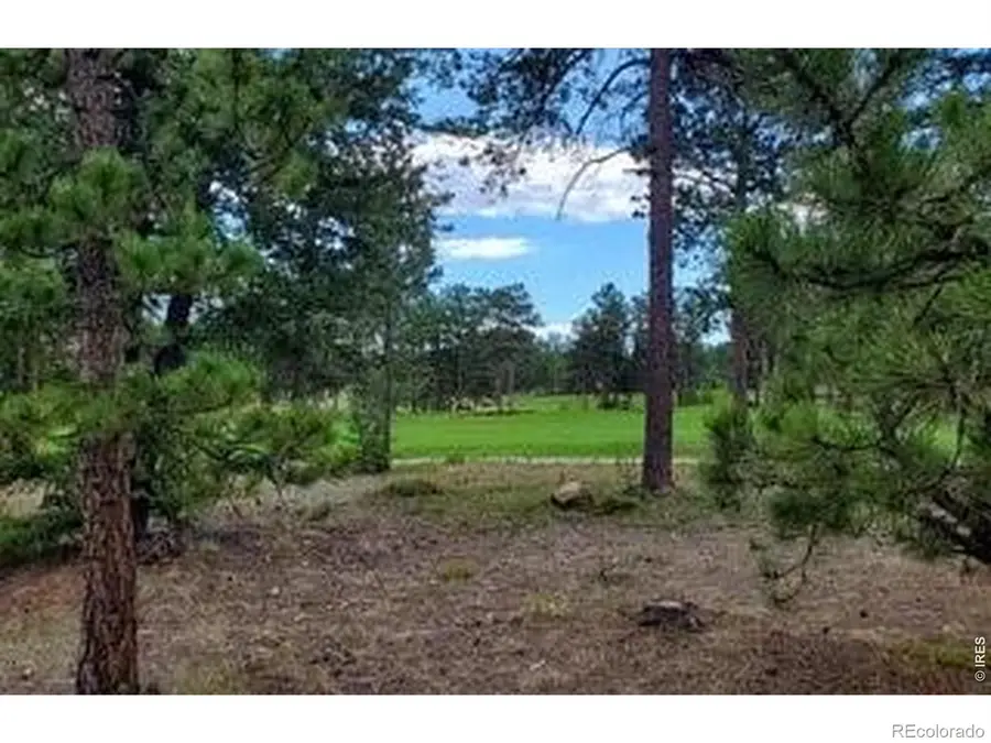 3021 Lake Arapahoe Court, Red Feather Lakes, CO 80545 - #3