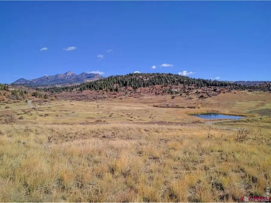 919 Roush Drive, Pagosa Springs, CO 81147 - #2