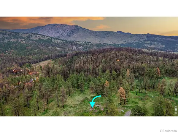 179 Green Ridge Road, Drake, CO 80515