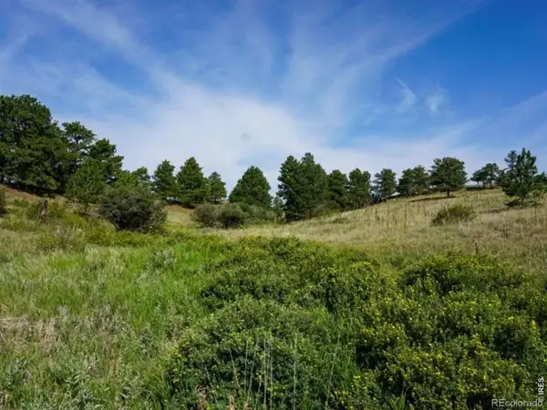 0 Stub, Livermore, CO 80536