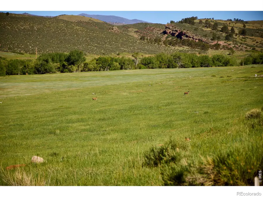 10051 Buckhorn Ridge Way, Loveland, CO 80538 - #2