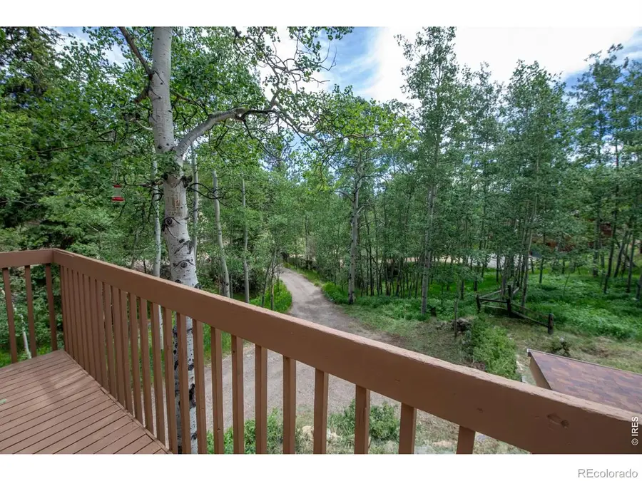1221 Hughesville Road, Black Hawk, CO 80422 - #3
