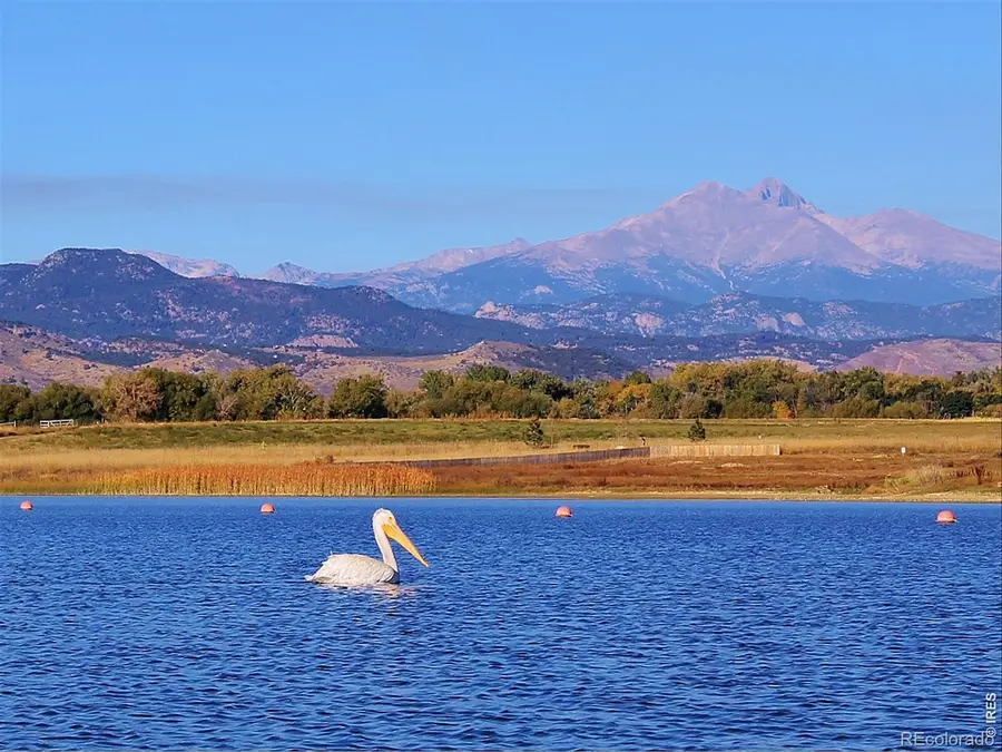 1703 Drake Street, Longmont, CO 80503 - #3